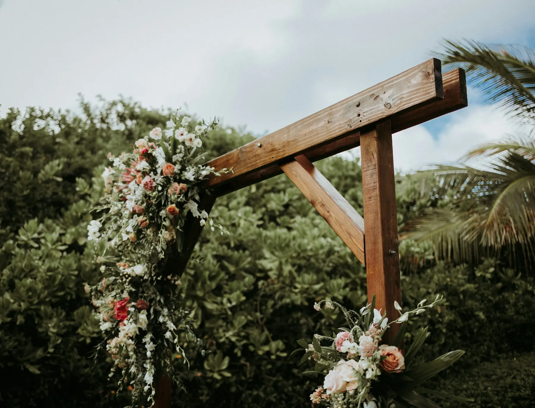 White flowers on a wooden backdrop